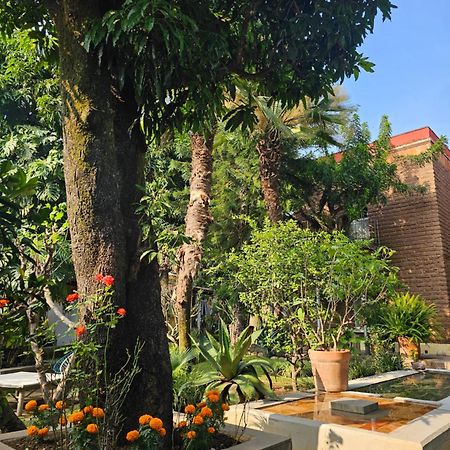 Casa Limon Malinalco Hotel Exterior foto